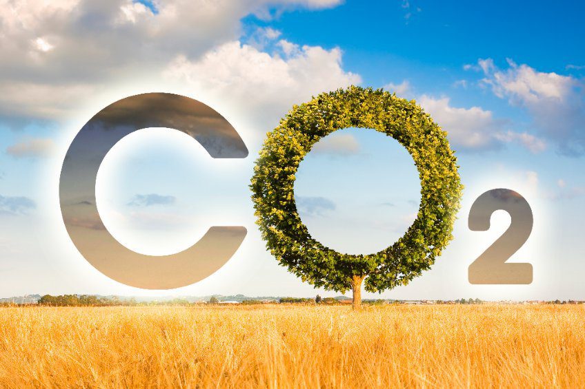 Carbon dioxide emissions decline